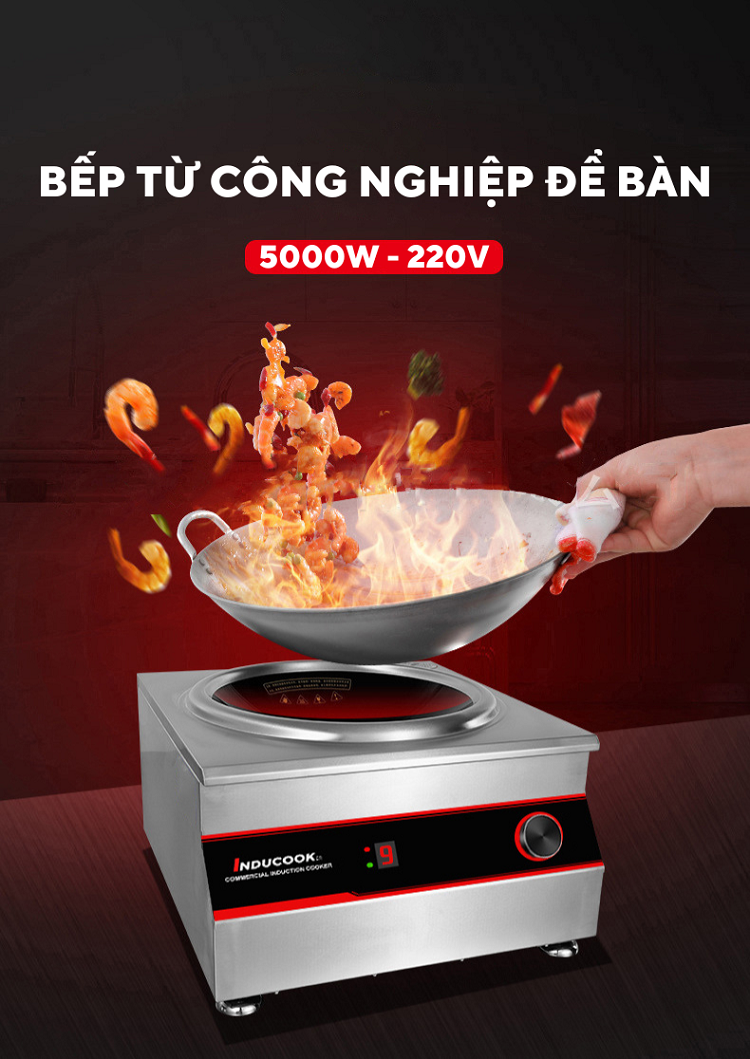 Bếp từ công nghiệp 5KW lõm